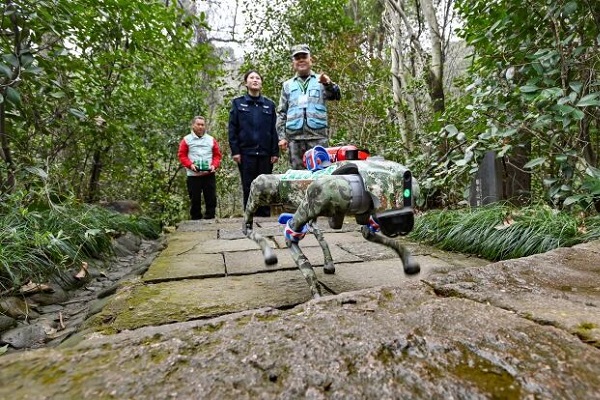 Robot dog becomes forest ranger