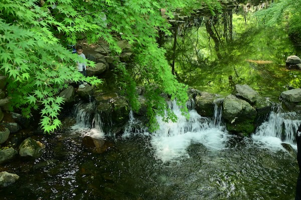 Spring paints Hangzhou green