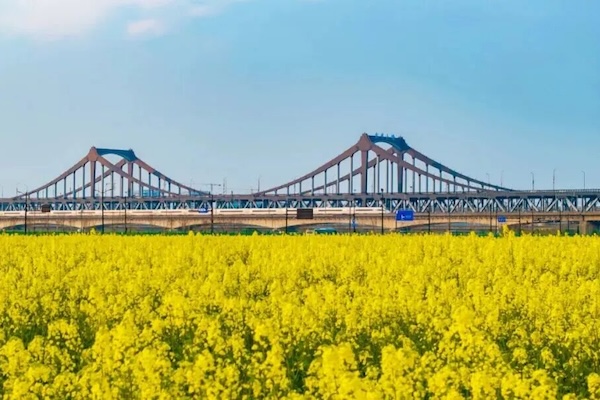 Yangtze River Delta railway spring travel season ends with 91 million passengers