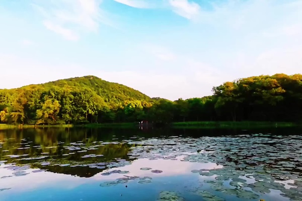 A hidden world beneath West Lake's shimmering surface