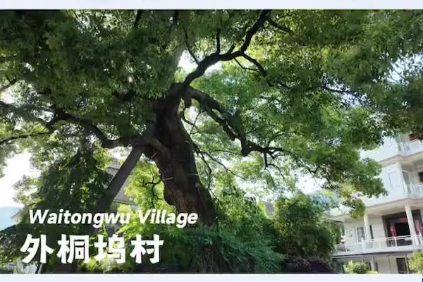 US reporter take a day of village life in Hangzhou