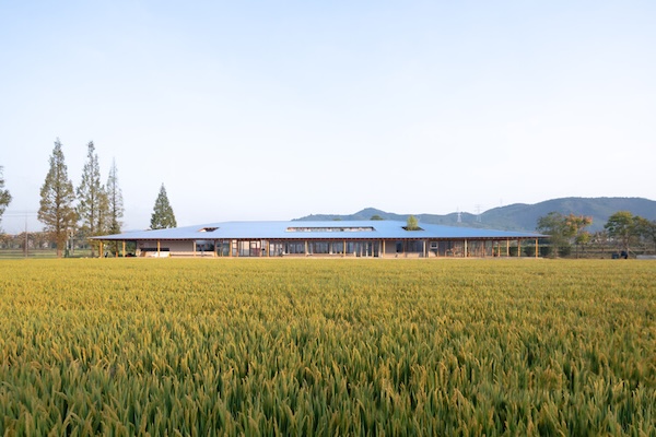 Digital tech­no­logy helps accel­er­ate agri­cul­tural innov­a­tion in Hang­zhou