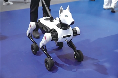 Hangzhou-made guide robot helps visually impaired people navigate independently