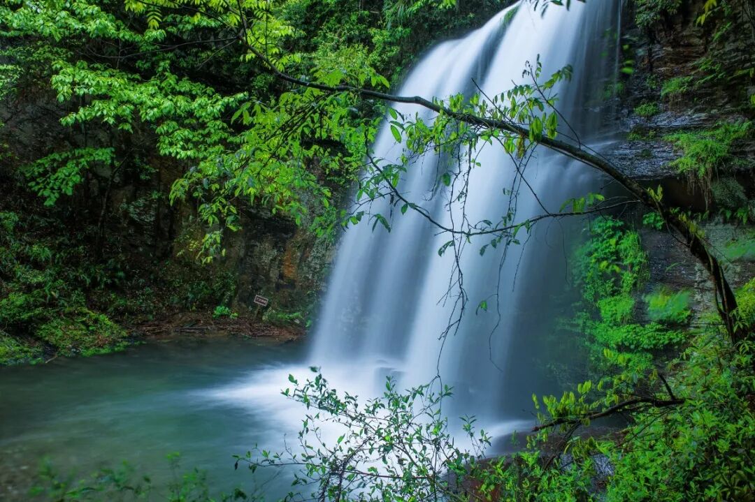 Hangzhou's Chun'an draws visitors with cool streams and misty valleys