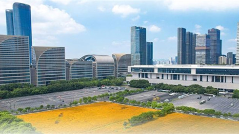 Hangzhou expo center marks 10 years of growth