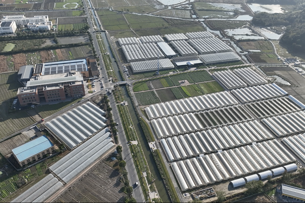 Private enterprises promote rural revitalization in Zhejiang