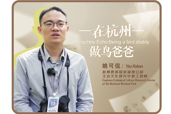 Hangzhou Echo: Being a bird daddy