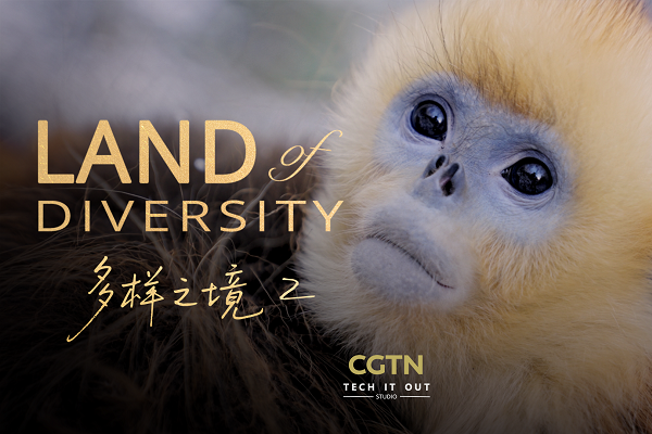 Land of Diversity II: The story of humans and the biosphere