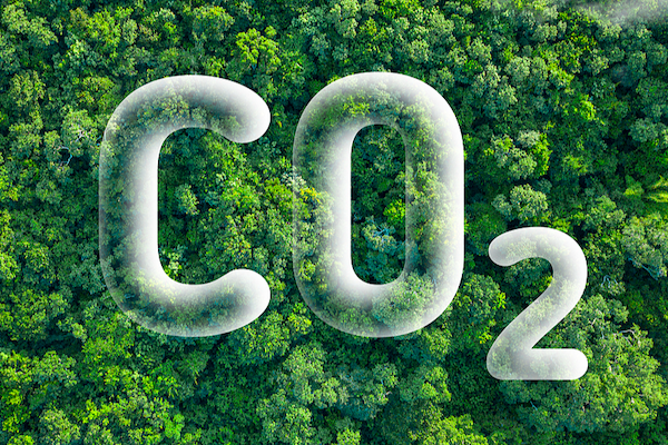 China unveils carbon peak action plan for 2026-2030