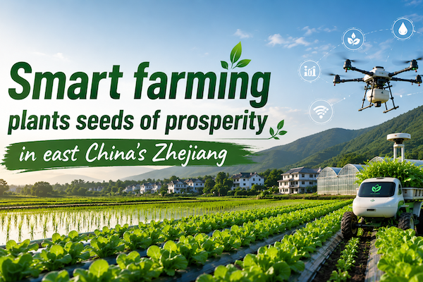 Smart farming plants seeds of prosperity in Hangzhou