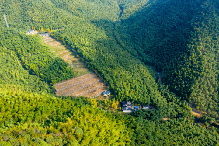 Hangzhou's Baishuijian offers refreshing summer retreat